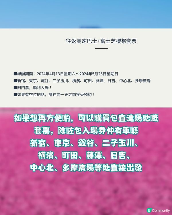 賞櫻尾班車！富士芝櫻祭開催😍50萬棵粉紅花海💗