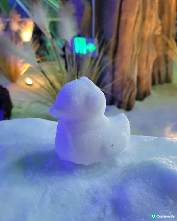 《假日好去處》-冰天雪地卡魯冰雪世界攻略