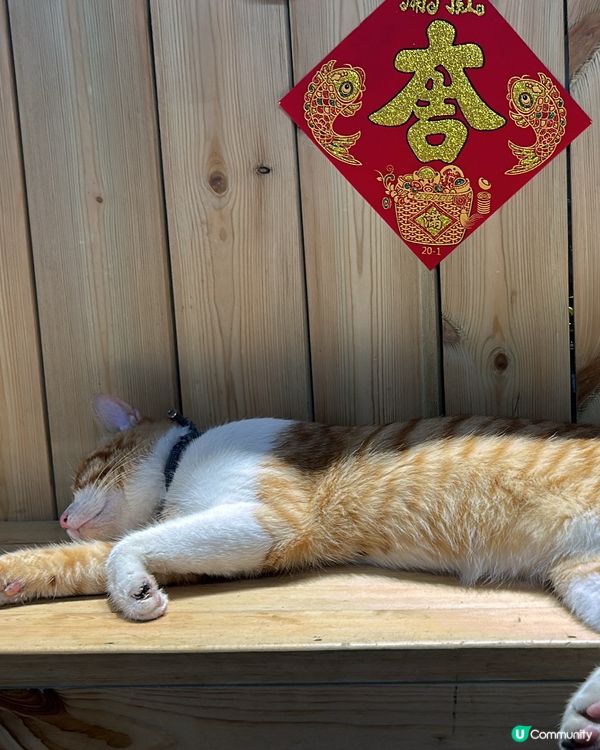 新舊交融的大鵬灣