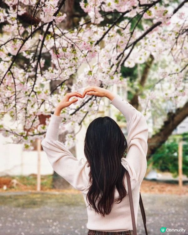 【🇯🇵櫻花季】人像攝影參考