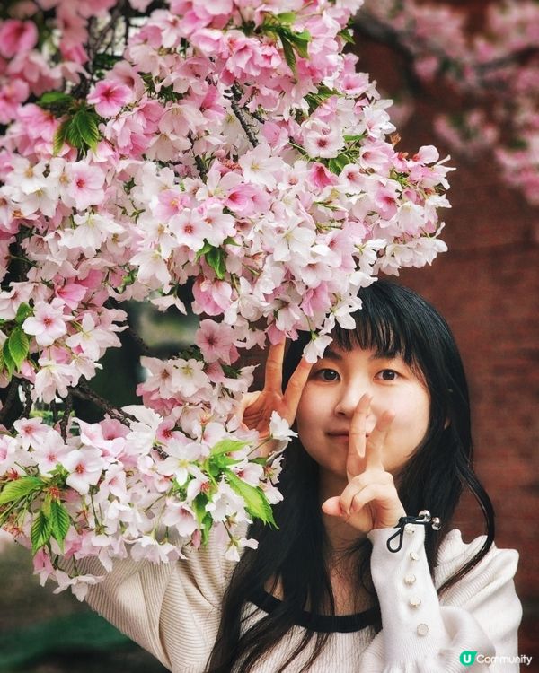 【🇯🇵櫻花季】人像攝影參考