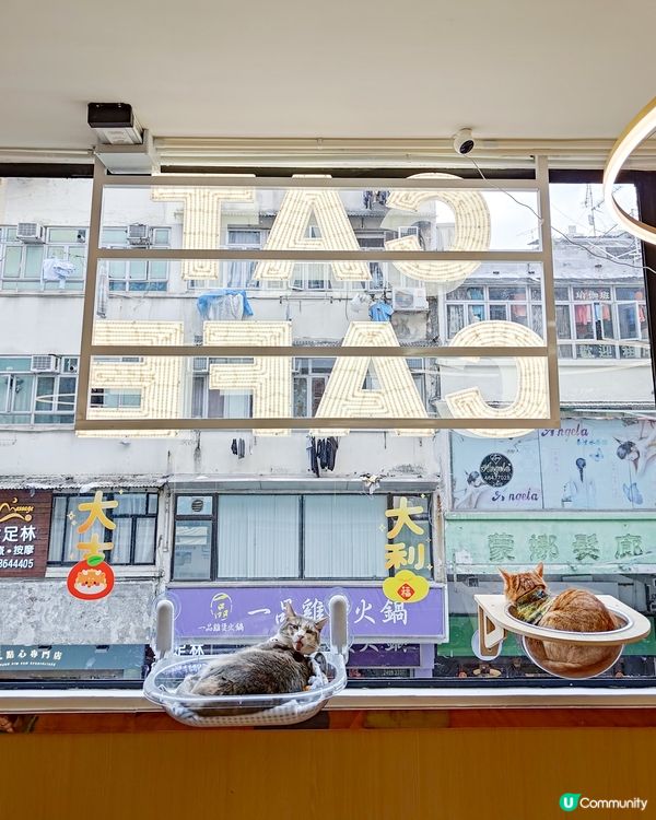 貓之茶房荃灣新分店😻 $118玩足一日+任飲茶水🍵