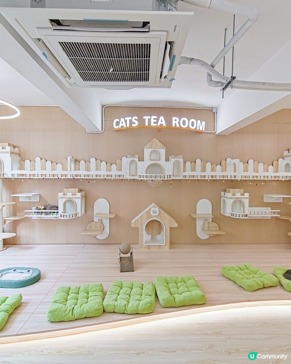 貓之茶房荃灣新分店😻 $118玩足一日+任飲茶水🍵