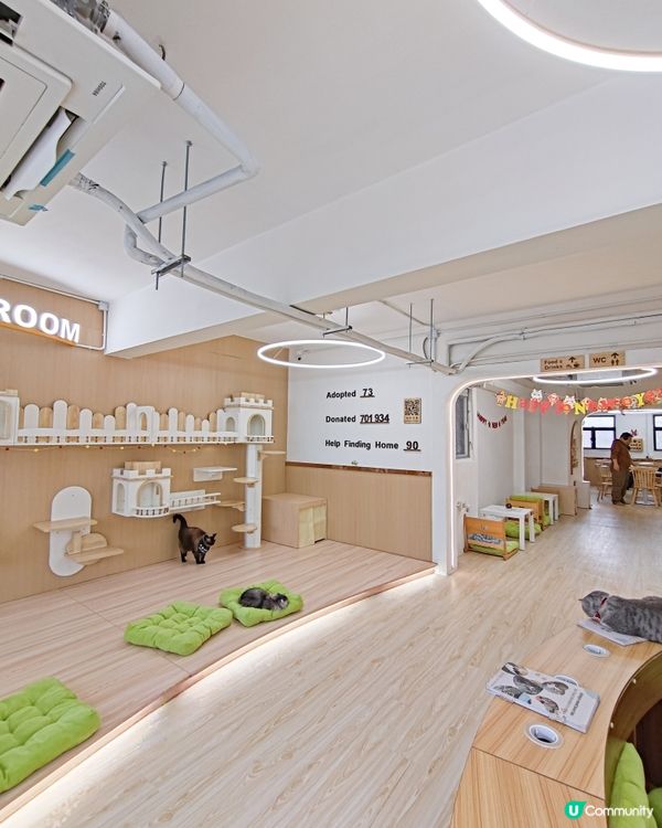 貓之茶房荃灣新分店😻 $118玩足一日+任飲茶水🍵