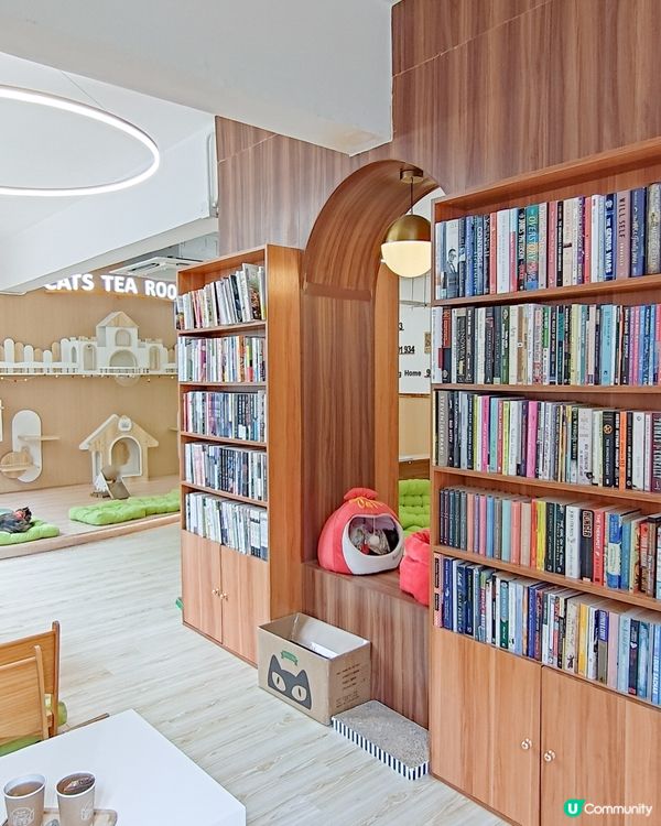 貓之茶房荃灣新分店😻 $118玩足一日+任飲茶水🍵