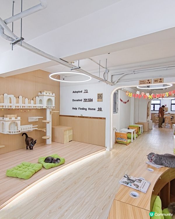 貓之茶房荃灣新分店😻 $118玩足一日+任飲茶水🍵