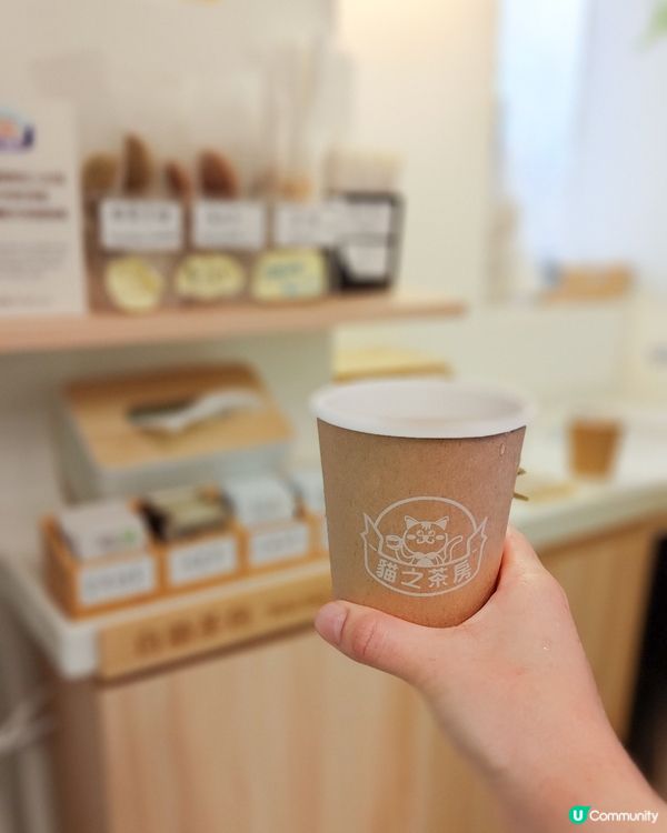 貓之茶房荃灣新分店😻 $118玩足一日+任飲茶水🍵