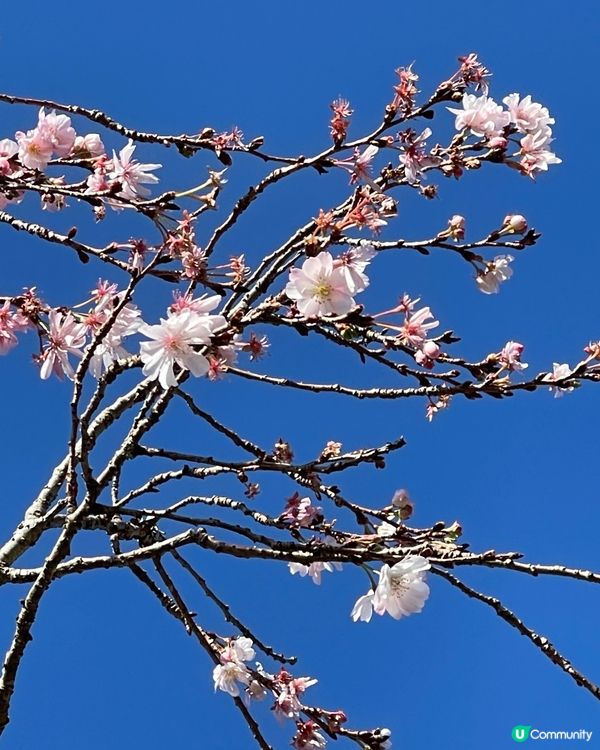 某年的12月回憶