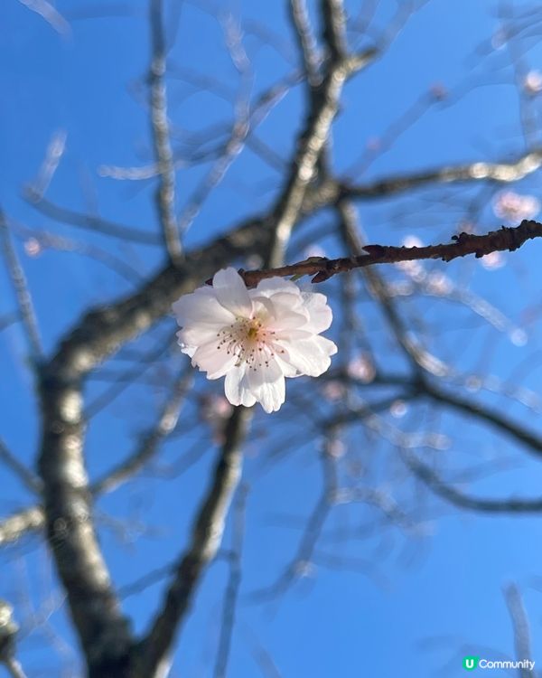 某年的12月回憶