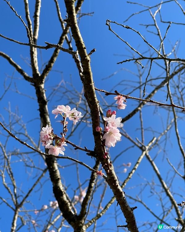 某年的12月回憶