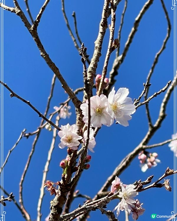 某年的12月回憶