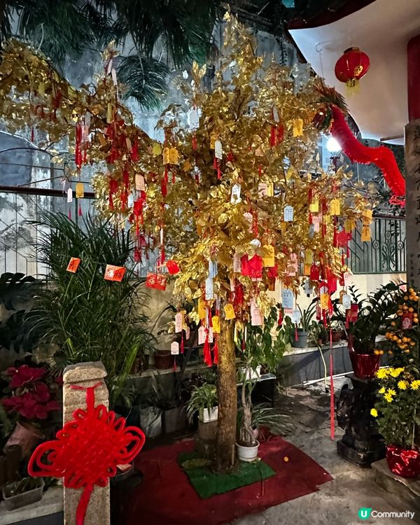 澳門隱世歡樂卜卜蜆打邊爐