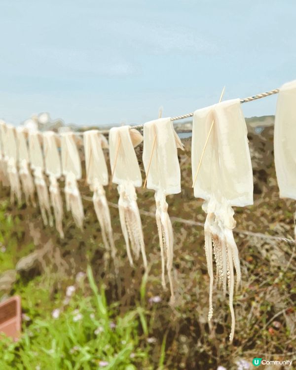 來自濟州海洋的味道