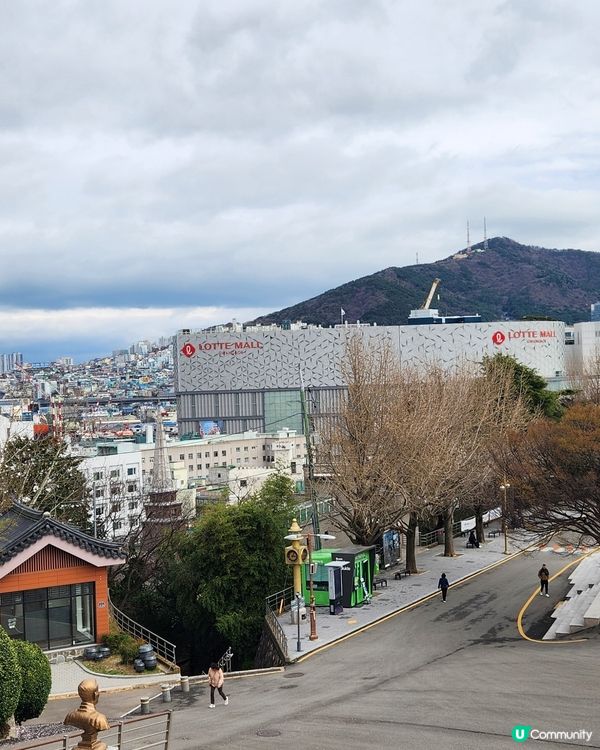 櫻花樹下的釜山塔