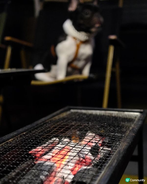 銅鑼灣鬧市之中竟然可以帶埋小動物一齊BBQ🥰 