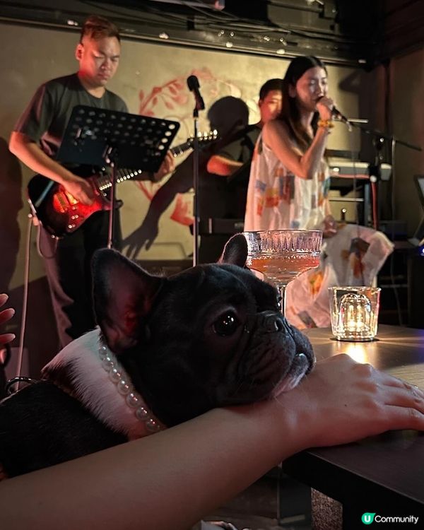 銅鑼灣鬧市之中竟然可以帶埋小動物一齊BBQ🥰 