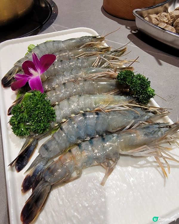 佛山出色沙嗲打邊爐