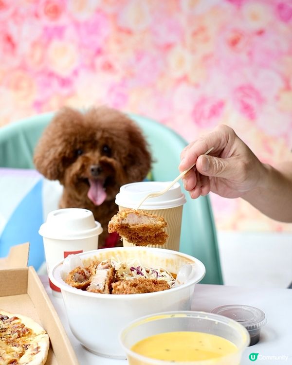 寵物友善商場內的餐廳，特設人寵共享專區！專區內設有圍欄，讓寵...