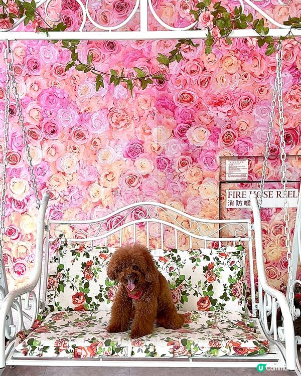 寵物友善商場內的餐廳，特設人寵共享專區！專區內設有圍欄，讓寵...