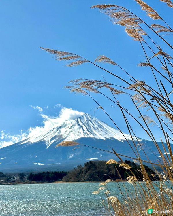 河口湖賞櫻平價住宿🏨