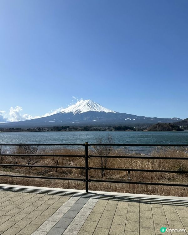 河口湖賞櫻平價住宿🏨