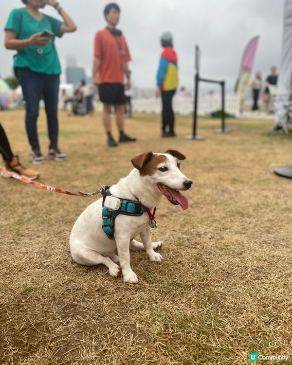 西九巨型泡泡限定打卡位