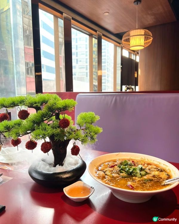 🌟再訪麻辣風雲！必食酸菜魚