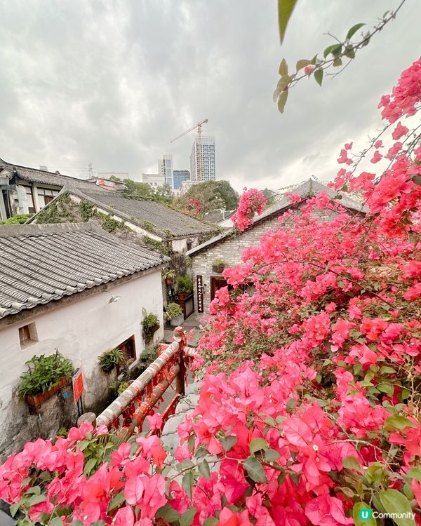 有得飲嘢同賣手工製花花飾物 - 花花主題小店