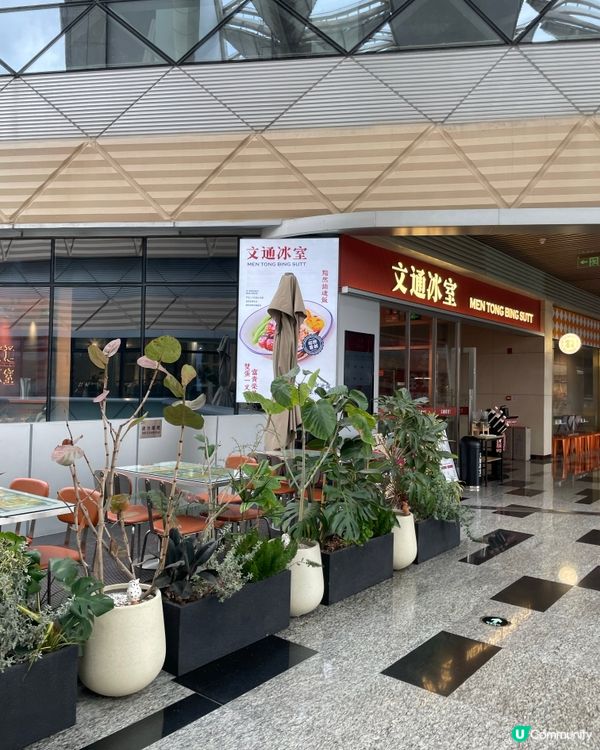 珠海文通冰室打卡小熊