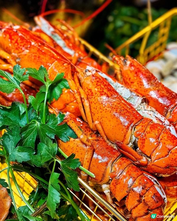 🥳 𝐂𝐨𝐧𝐫𝐚𝐝自助餐! 海陸珍寶薈萃