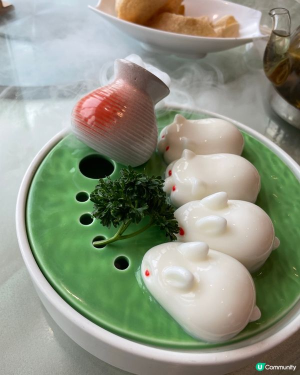 珠海廣東點心探店