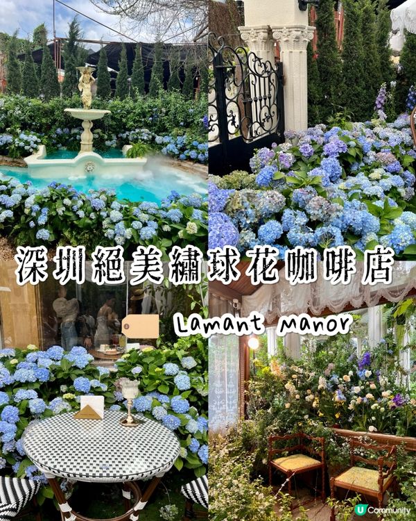 《深圳絕美繡球花咖啡店》