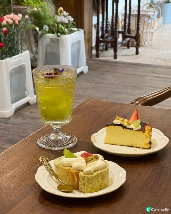 《深圳絕美繡球花咖啡店》