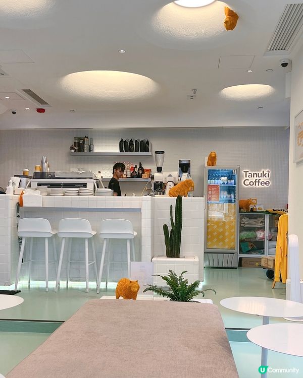 土瓜灣💛193狸貓cafe