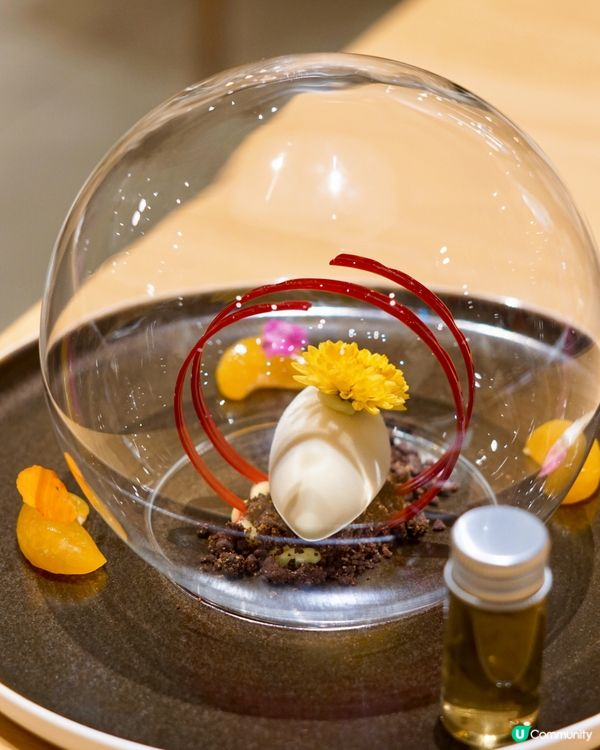 啟德 ✦ 法式𝐅𝐮𝐬𝐢𝐨𝐧九道菜𝐅𝐢𝐧𝐞 𝐃𝐢𝐧𝐢𝐧𝐠🥰