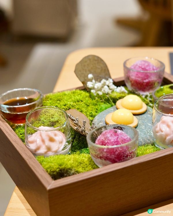 啟德 ✦ 法式𝐅𝐮𝐬𝐢𝐨𝐧九道菜𝐅𝐢𝐧𝐞 𝐃𝐢𝐧𝐢𝐧𝐠🥰