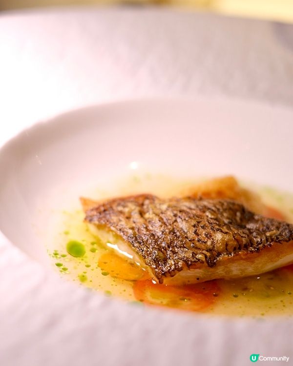 繁忙中西區內的秘密花園