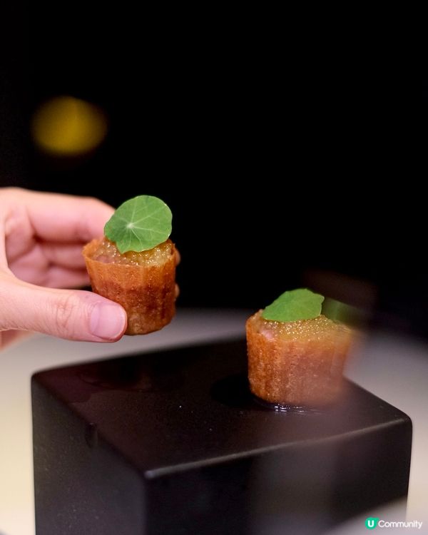 繁忙中西區內的秘密花園