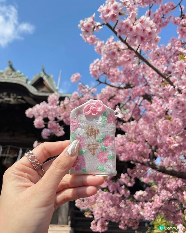 🌸💕粉紅少女心爆發！！