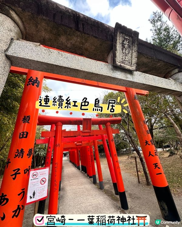 南北九州特式鳥居⛩️打卡推介