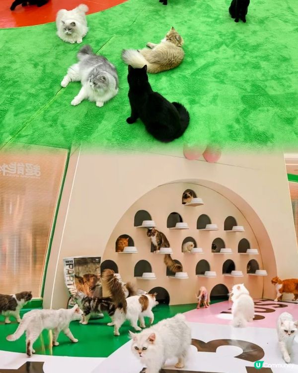 深圳龍崗十大必去商場🛍🧸