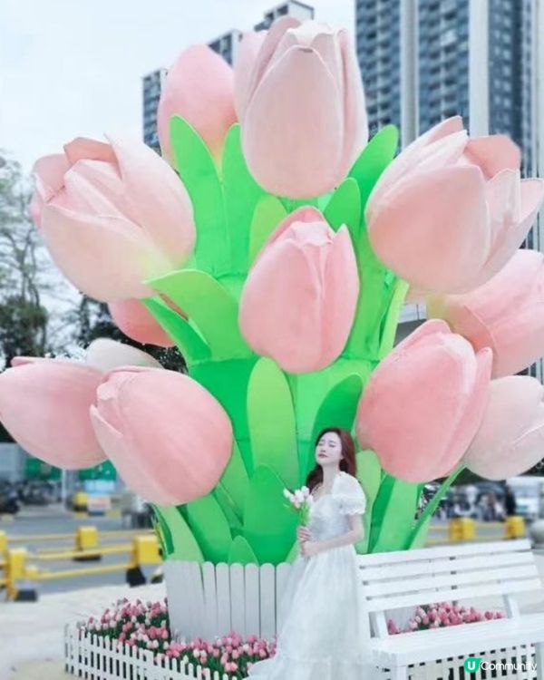 深圳龍崗十大必去商場🛍🧸