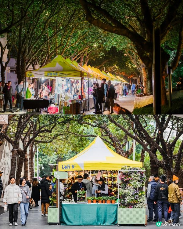 深圳南山免費文化地標一日遊 必睇特種兵攻略🏃🏻🏞
