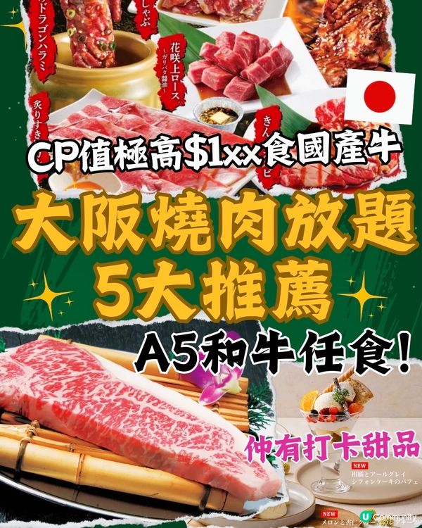 大阪燒肉放題5大必食推薦🔥A5和牛任食 CP值極高