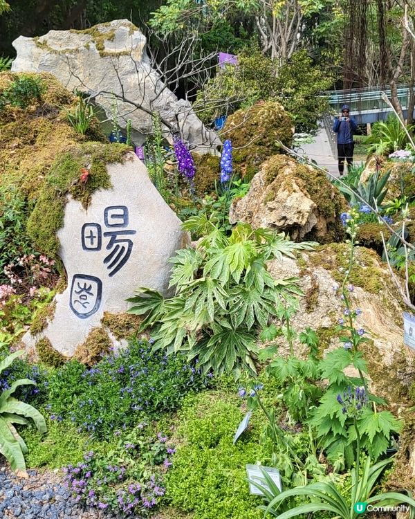 深圳2024粵港澳大灣區花展