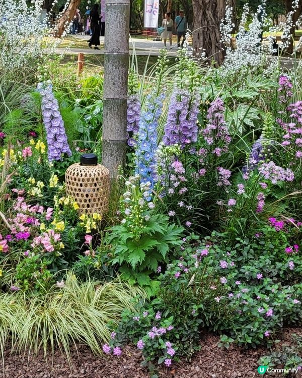 深圳2024粵港澳大灣區花展