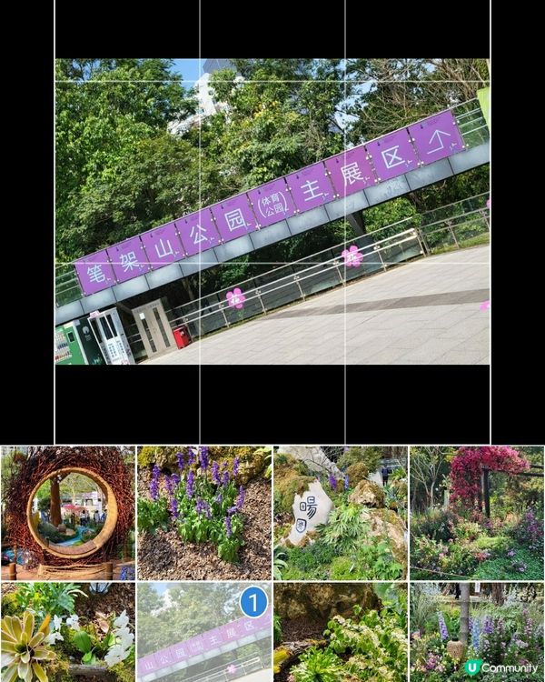 深圳2024粵港澳大灣區花展