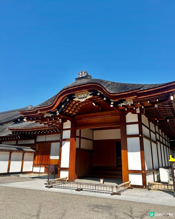 名古屋城櫻花初開