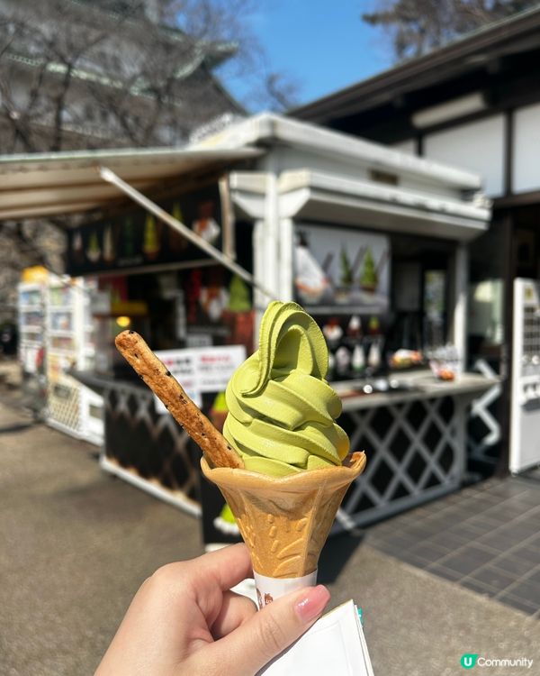 名古屋城櫻花初開