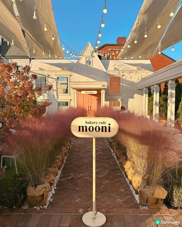 首爾💖童話風人氣打卡cafe